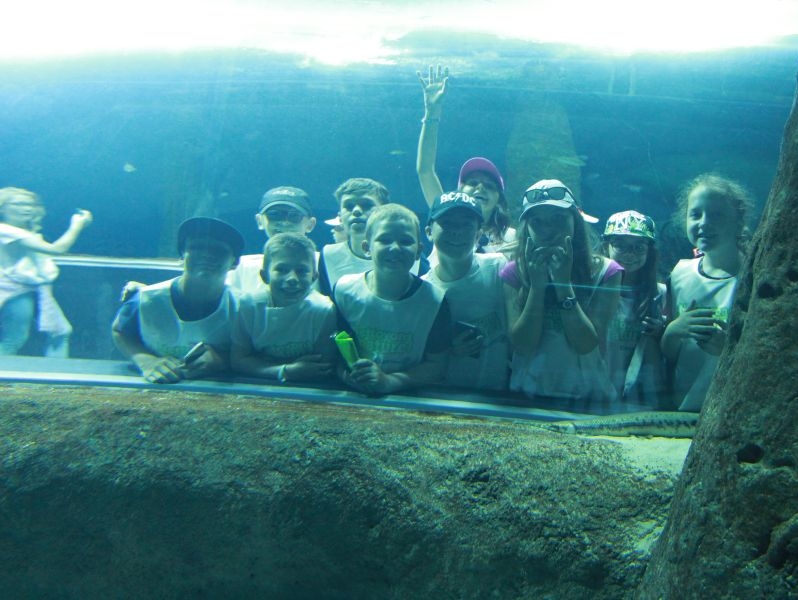 visite de l’aquarium à Lausanne (14)